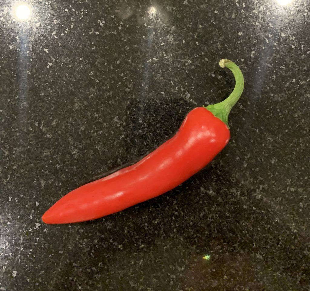 whole red chilli